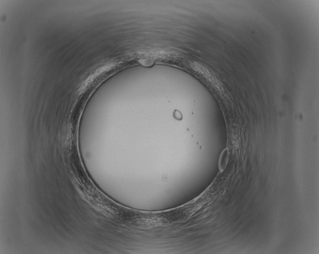 X0000083060583200702161759