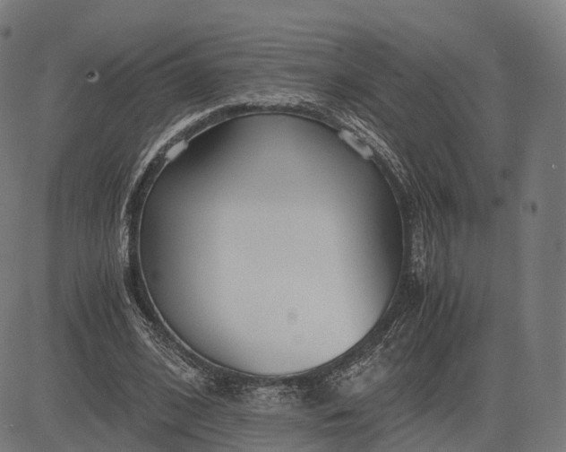 X0000083060584200702161759