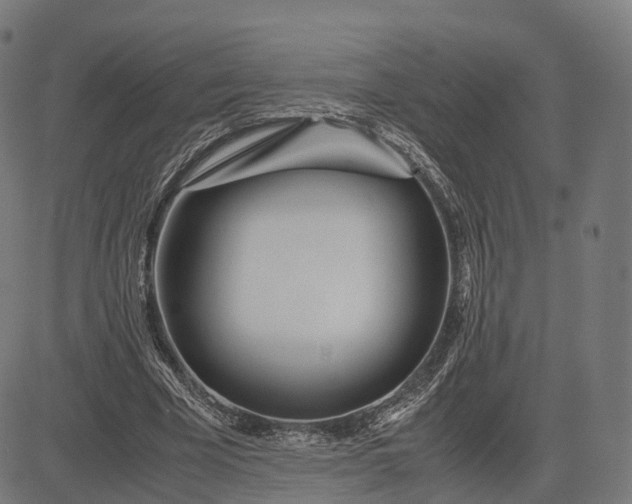 X0000083060585200702161759