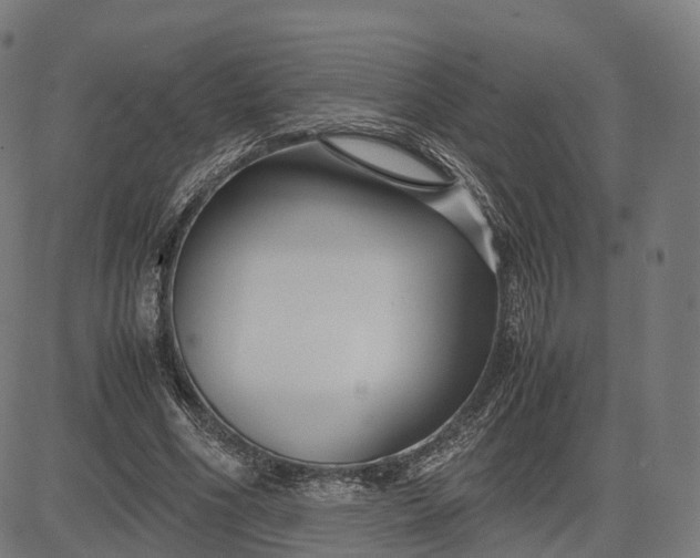 X0000083060586200702161758