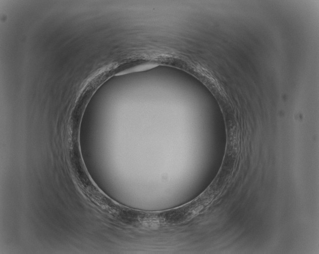 X0000083060587200702161758