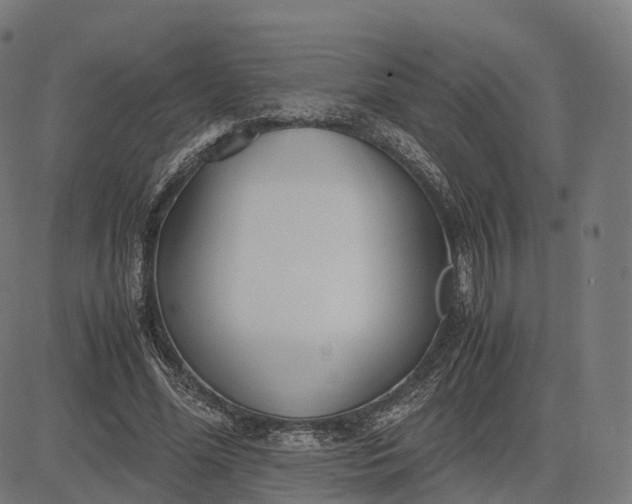 X0000083060588200702161758