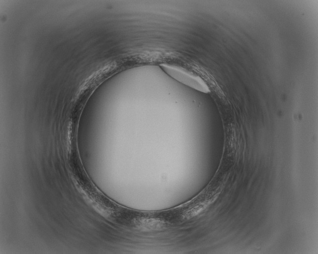 X0000083060590200702161758