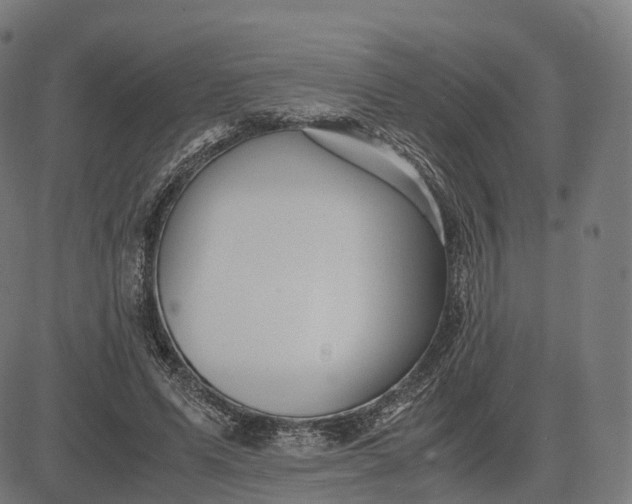 X0000083060591200702161758