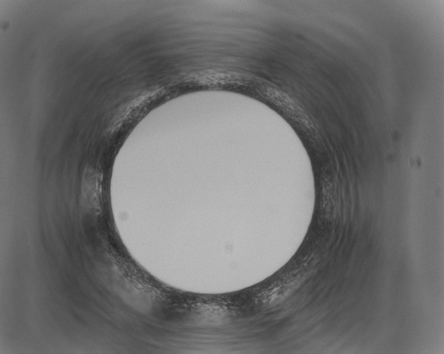 X0000083060592200702161758