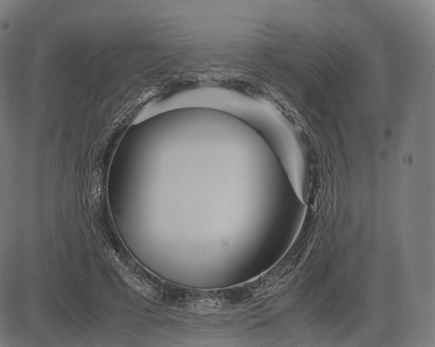 X0000083060593200702161758