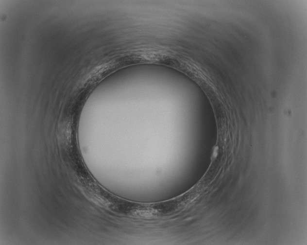 X0000083060595200702161758