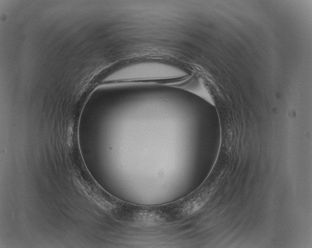 X0000083060596200702161758