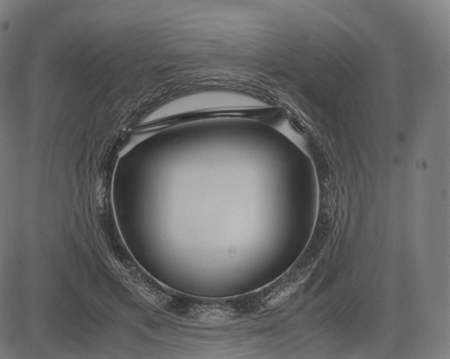 X0000083060597200702161758