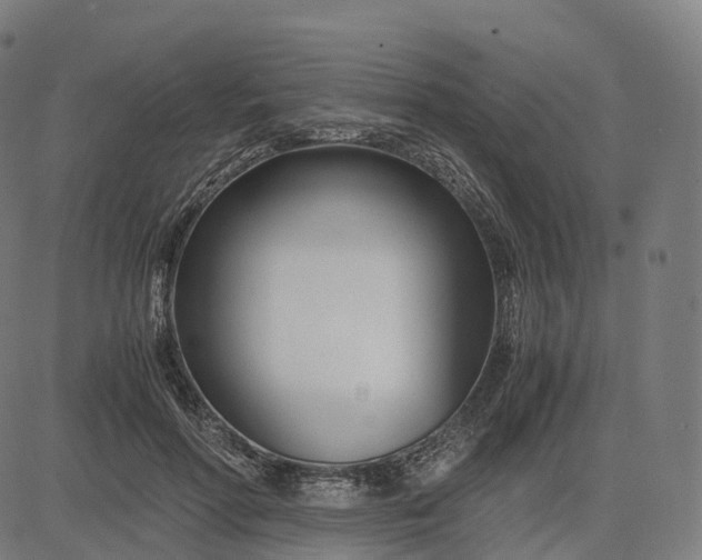 X0000083060598200702161758