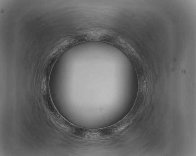 X0000083060599200702161758