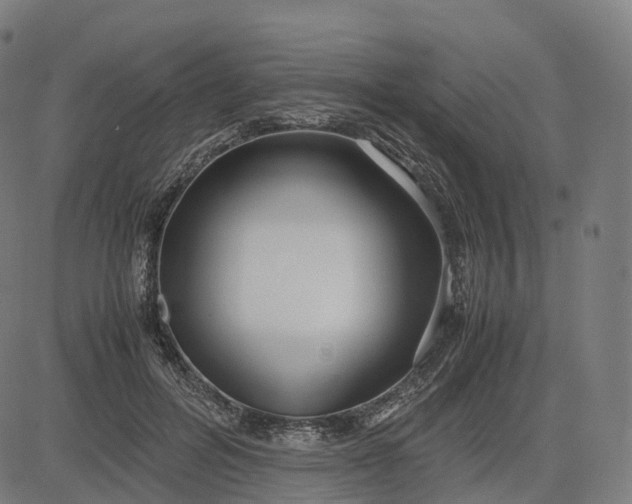 X0000083060600200702161758