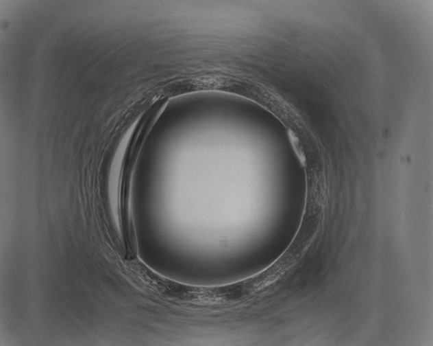 X0000083060601200702161758