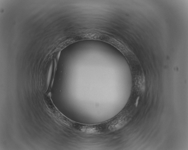 X0000083060602200702161758