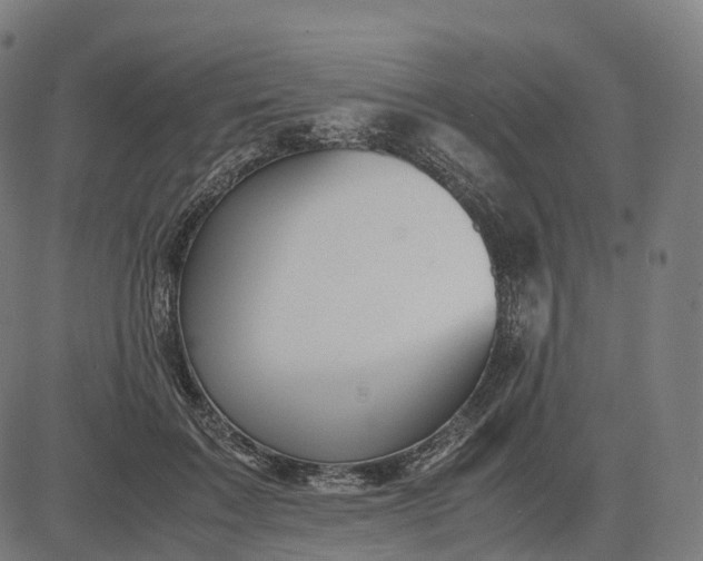 X0000083060603200702161758