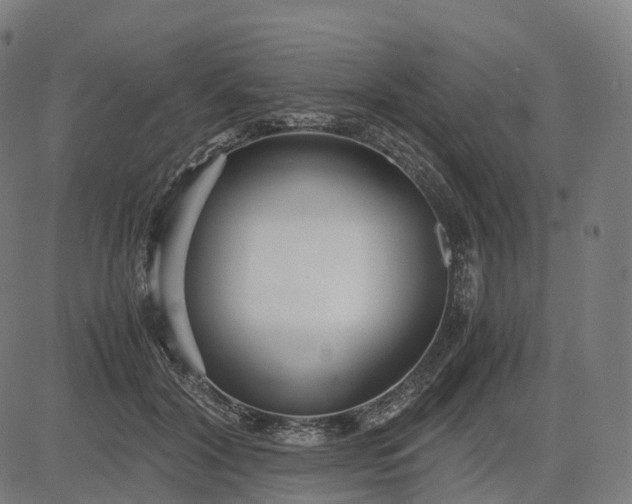 X0000083060604200702161758