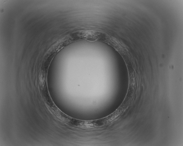 X0000083060607200702161758