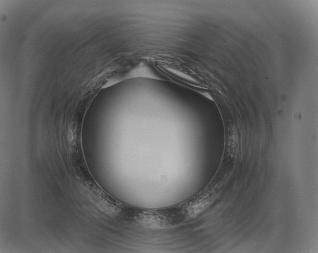 X0000083060608200702161758