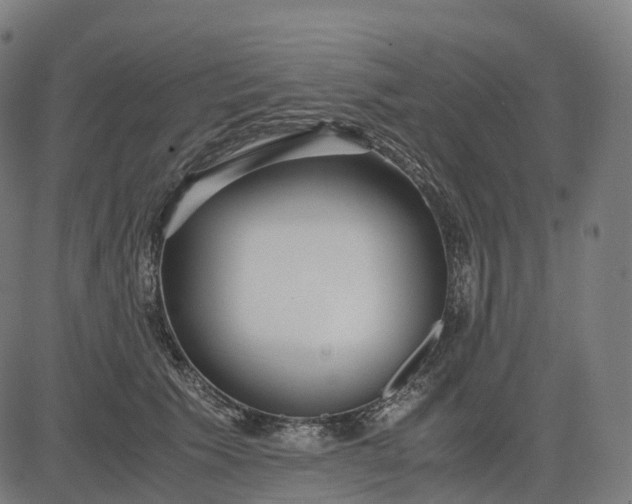 X0000083060609200702161758