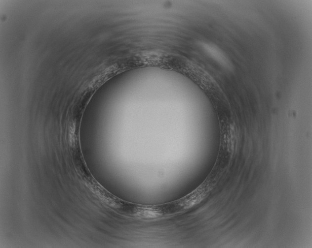 X0000083060610200702161758