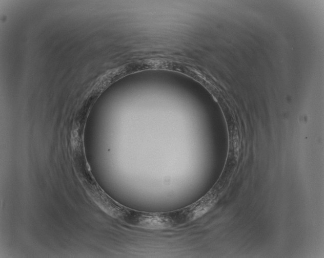 X0000083060611200702161758