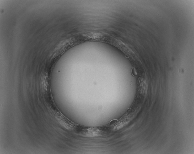 X0000083060612200702161758