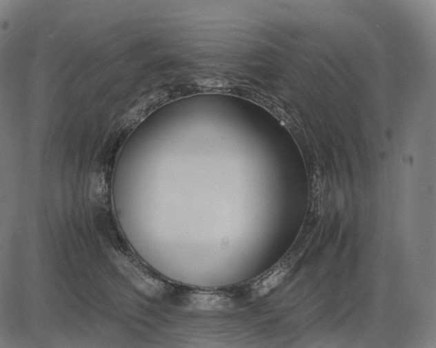 X0000083060614200702161758