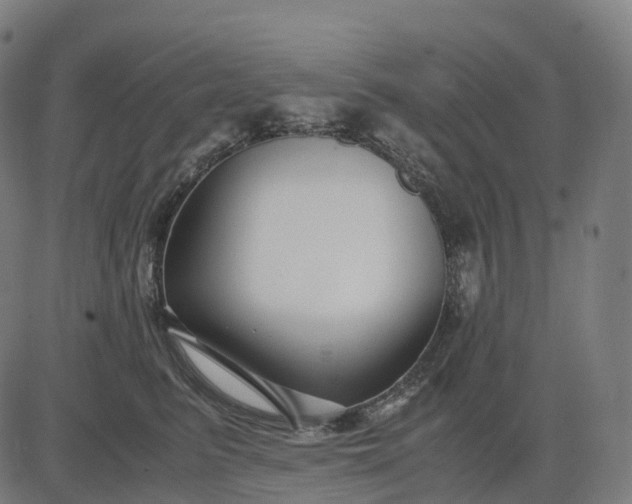 X0000083060615200702161758