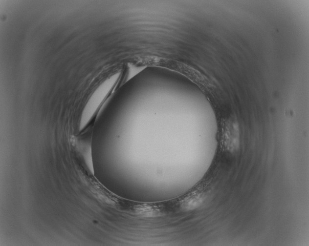 X0000083060616200702161758