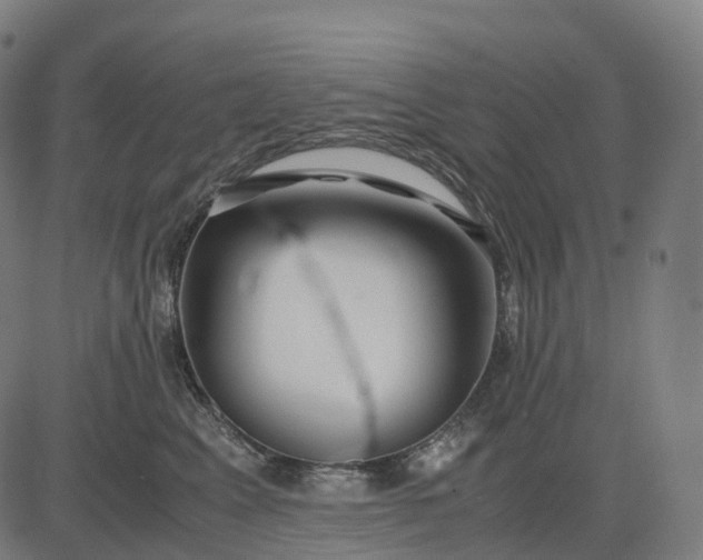 X0000083060617200702161758