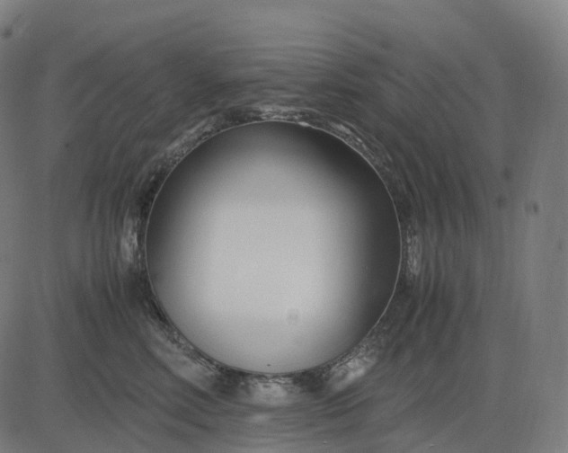 X0000083060618200702161758