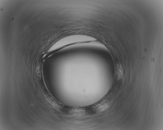 X0000083060619200702161758