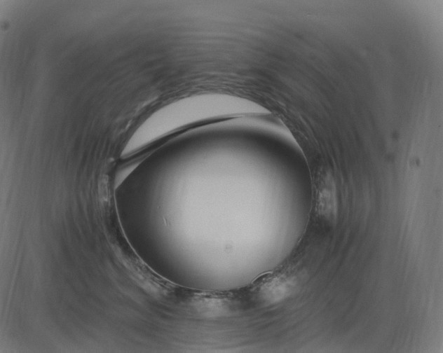 X0000083060620200702161758