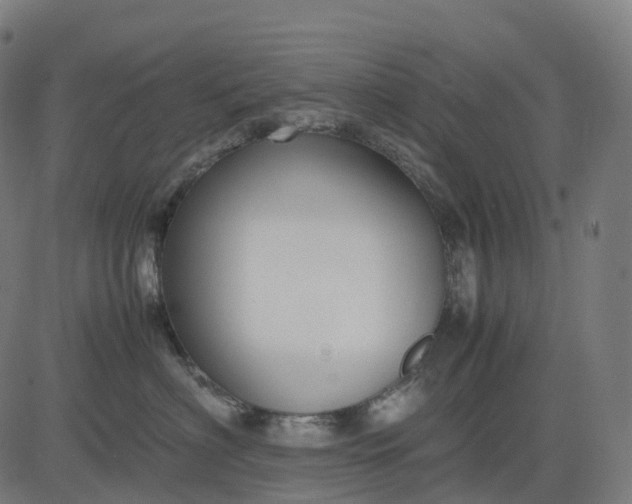 X0000083060622200702161758