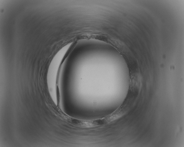 X0000083060623200702161758