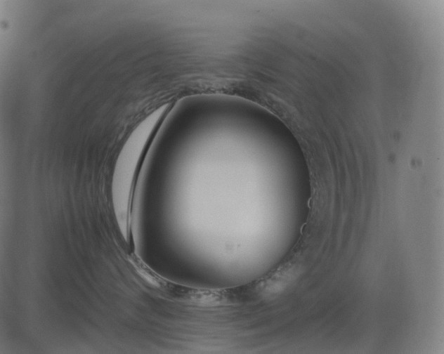 X0000083060624200702161758