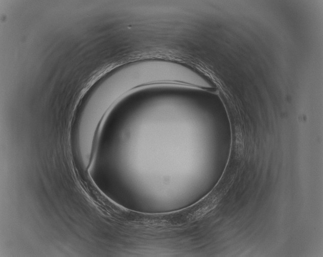 X0000083060626200702161757