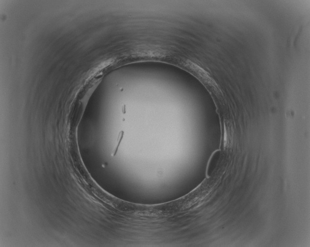 X0000083060627200702161757