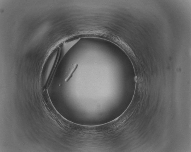 X0000083060628200702161757