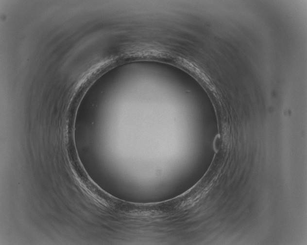 X0000083060629200702161757