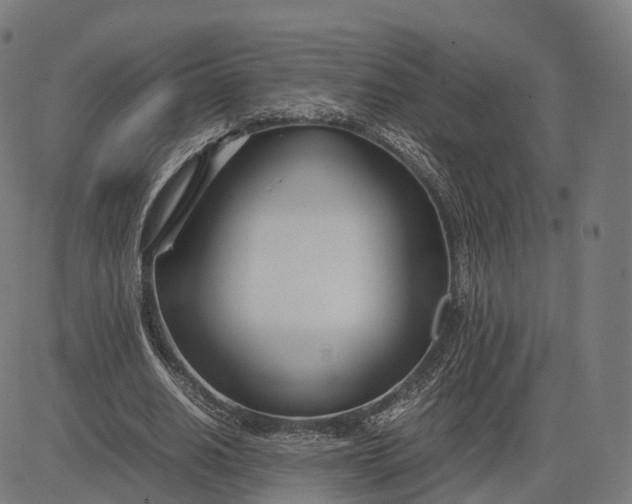 X0000083060630200702161757