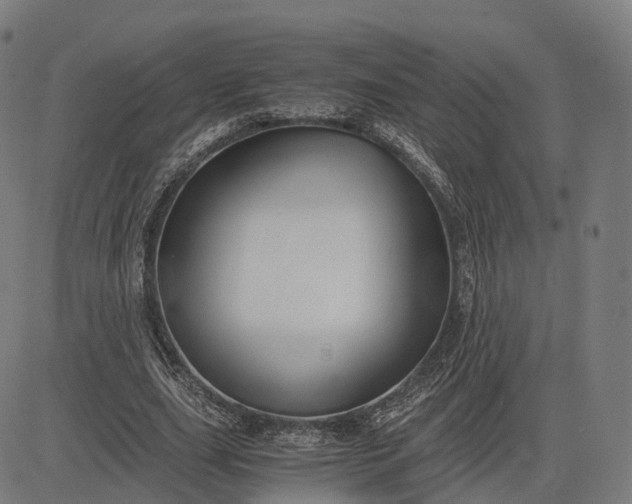 X0000083060631200702161757