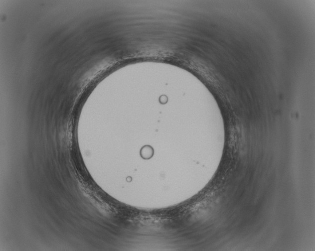 X0000083060632200702161757