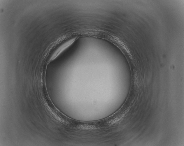 X0000083060633200702161757