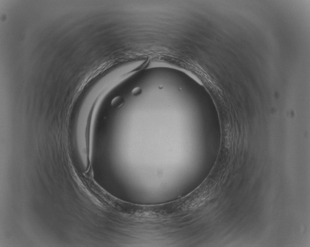 X0000083060634200702161757