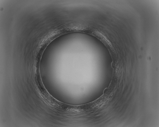 X0000083060635200702161757