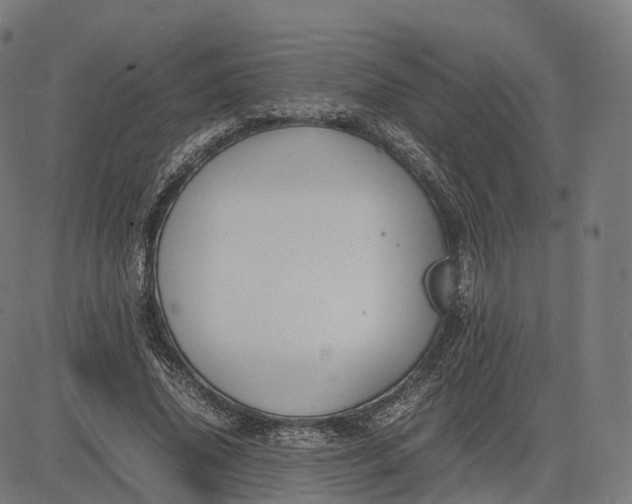 X0000083060636200702161757