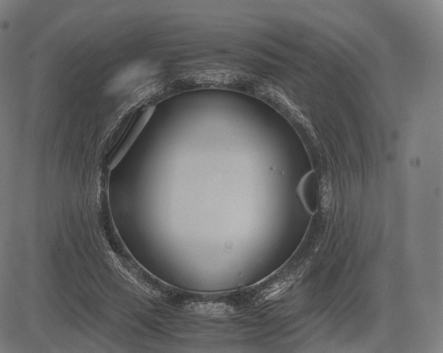 X0000083060637200702161757