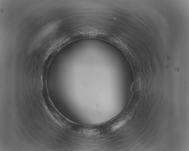 X0000083060638200702161757