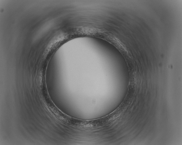 X0000083060640200702161757